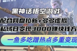 每日（12316期）黑神话悟空游戏配合网盘拉新+多多虚拟+私域日变现3000+赚快钱方法。&#8230;08-25中创网