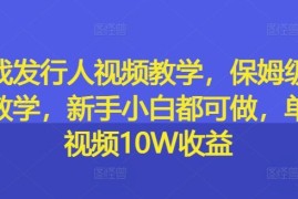 2024最新游戏发行人视频教学，保姆级实操教学，新手小白都可做，单条视频10W收益08-27冒泡网