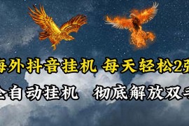 最新国外项目项目，海外抖音挂机，全自动挂机，每天轻松两张