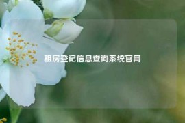 租房登记信息查询系统官网