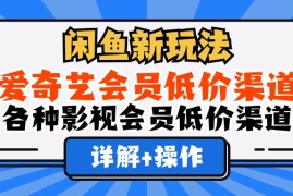 简单项目（12320期）闲鱼新玩法，爱奇艺会员低价渠道，各种影视会员低价渠道详解08-25中创网