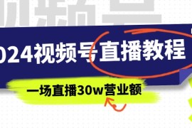 热门项目（11394期）2024视频号直播教程：视频号如何赚钱详细教学，一场直播30w营业额（37节），07月03日中创网VIP项目