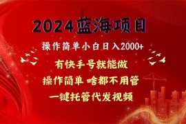 最新热门给力项目项目，2024蓝海项目，网盘拉新，操作简单小白日入2000+，一键托管代发视频，...