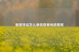 租赁凭证怎么查信息查询进度呢