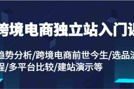 每天跨境电商独立站入门课：趋势分析/跨境电商前世今生/选品流程/多平台比较/建站演示等便宜07月29日福缘网VIP项目