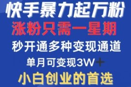 最新项目快手暴力起万粉，涨粉只需一星期，多种变现模式，直接秒开万合，单月变现过W【揭秘】09-21冒泡网