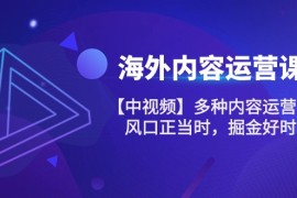 最新跨境电商项目，海外内容 运营课【中视频】多种内容运营玩法 风口正当时 掘金好时机-101节