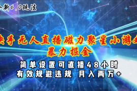 （11225期）全新6.0快手无人直播，磁力聚星小游戏暴力项目，简单设置，直播48小时…，06月24日中创网VIP项目