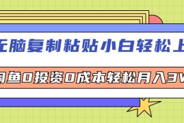 简单项目（12258期）无脑复制粘贴，小白轻松上手，电商0投资0成本轻松月入3W+08-22中创网