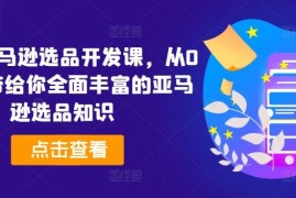 2024最新2024亚马逊选品开发课，从0到1，带给你全面丰富的亚马逊选品知识便宜07月18日冒泡网VIP项目