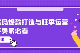 实战跨境电商项目，沃尔玛 爆款打造与旺季运营，新手卖家必看