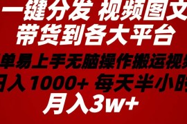 热门短视频运营项目，2024年 一键分发带货图文视频  简单易上手 无脑赚收益 每天半小时日入1...