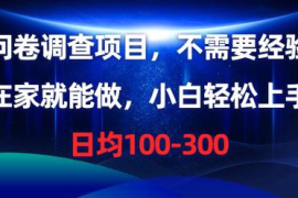 实战热门给力项目项目，问卷调查项目，不需要经验，在家就能做，小白轻松上手，日均100-300