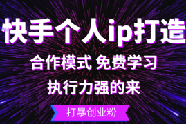 实战（13023期）快手个人ip打造：执行力强的来打暴创业粉10-18