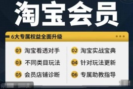 实战淘宝会员【淘宝所有课程，全面分析对手】，初级到高手全系实战宝典便宜08月09日冒泡网VIP项目