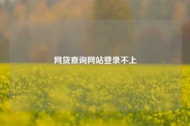 网贷查询网站登录不上