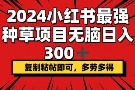 简单项目（12336期）2024小红书最强种草项目，无脑日入300+，复制粘帖即可，多劳多得08-27中创网