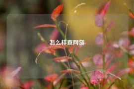 怎么样查网贷