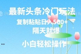 每日（11414期）最新头条冷门玩法，隔天就爆，复制粘贴日入500+，07月04日中创网VIP项目