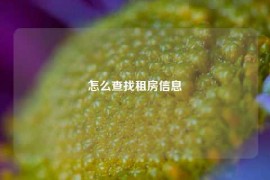 怎么查找租房信息