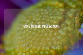 银行能查出网贷记录吗