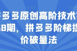 实战拼多多原创高阶技术第38期，拼多多阶梯提价破量法便宜07月20日冒泡网VIP项目