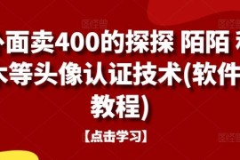 2024最新外面卖400的探探陌陌积木等头像认证技术(软件+教程)09-21冒泡网