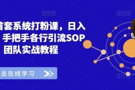 热门项目全网首套系统打粉课，日入3k+，手把手各行引流SOP团队实战教程08-29冒泡网