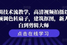 2024最新剪辑技术流教学，高清视频拍摄以及视频调色转扇子，建筑抠图，新人小白到剪辑大师08-17冒泡网