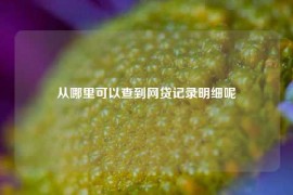 从哪里可以查到网贷记录明细呢