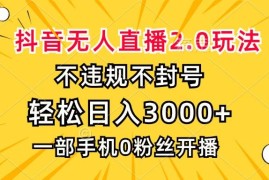 每天（13233期）抖音无人直播2.0玩法，不违规不封号，轻松日入3000+，一部手机0粉开播11-07中创网