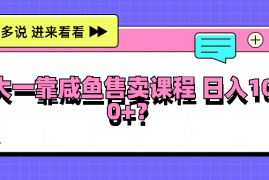 创业项目大一靠咸鱼售卖课程日入100+，没有任何门槛，有手就行08-30福缘网