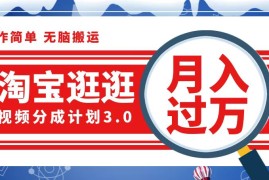 实战（12607期）淘宝逛逛视频分成计划，一分钟一条视频，月入过万就靠它了09-15中创网