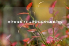 网贷查询多了可以贷款吗安全吗是真的吗