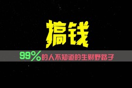 每天99%的人不知道的生财野路子，只掌握在少数人手里！便宜07月23日福缘网VIP项目