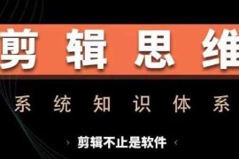 赚钱项目剪辑思维系统课，从软件到思维，系统学习实操进阶，从讲故事到剪辑技巧全覆盖11-12冒泡网