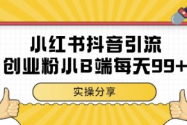 小红书抖音创业粉，小B端粉自热，日引99+的一个玩法【揭秘】