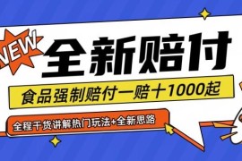 2024最新全新赔付思路糖果食品退一赔十一单1000起全程干货【仅揭秘】便宜08月08日冒泡网VIP项目