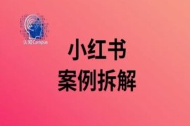 最新项目小红书案例拆解，深度解读小红书40万粉便宜08月08日冒泡网VIP项目