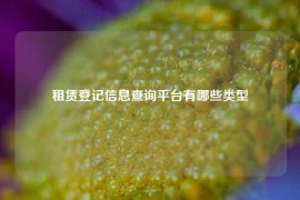 租赁登记信息查询平台有哪些类型