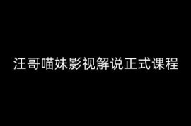 每天汪哥影视解说正式课程：剪映/PR教学/视解说剪辑5大黄金法则/全流程剪辑7把利器等等便宜08月07日冒泡网VIP项目