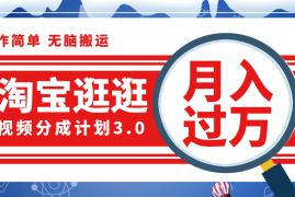 实战（12070期）淘宝逛逛视频分成计划，一分钟一条视频，月入过万就靠它了！便宜08月09日中创网VIP项目