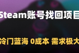 Steam账号找回项目，冷门蓝海，0成本，需求极大