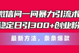 2024最新微信问一问暴力引流术，稳定日引300+创业粉，最新方法，条条爆款【揭秘】便宜07月09日冒泡网VIP项目