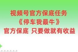 简单项目视频号官方保底任务，停车我最牛，官方保底只要做就有收益【揭秘】08-17冒泡网