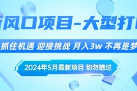 赚钱无货源项目，2024年5月最新风口项目，抓住机遇，迎接挑战，月入3w+，不再是梦