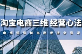 实操国内电商项目，淘宝电商三维 经营心法：电商运营和电商老板必看课