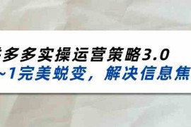 创业项目2024-2025拼多多实操运营策略3.0，0~1完美蜕变，解决信息焦虑（38节）便宜07月17日福缘网VIP项目