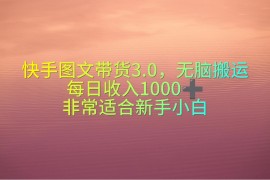 很火短视频运营项目，快手图文带货3.0，无脑搬运，每日收入1000＋，非常适合新手小白