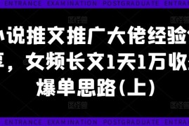 简单项目小说推文推广大佬经验分享，女频长文1天1万收益爆单思路(上)08-28冒泡网